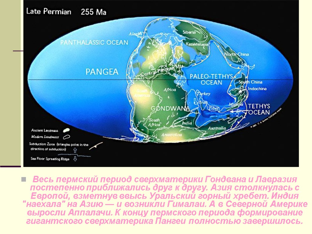 Весь пермский период сверхматерики Гондвана и Лавразия постепенно приближались друг к другу. Азия столкнулась